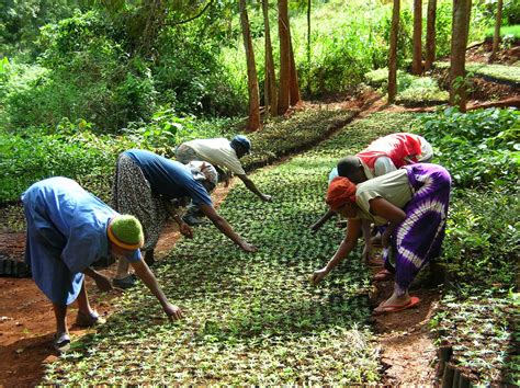 Women leading climate justice and environmental action