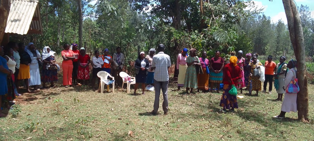 Hands joined in collective community support