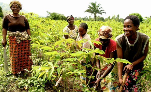 Community climate action