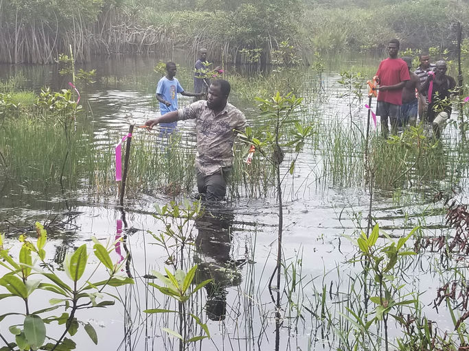 Environmental conservation