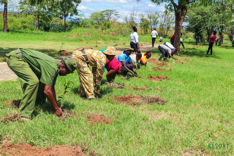 Climate resilience activities