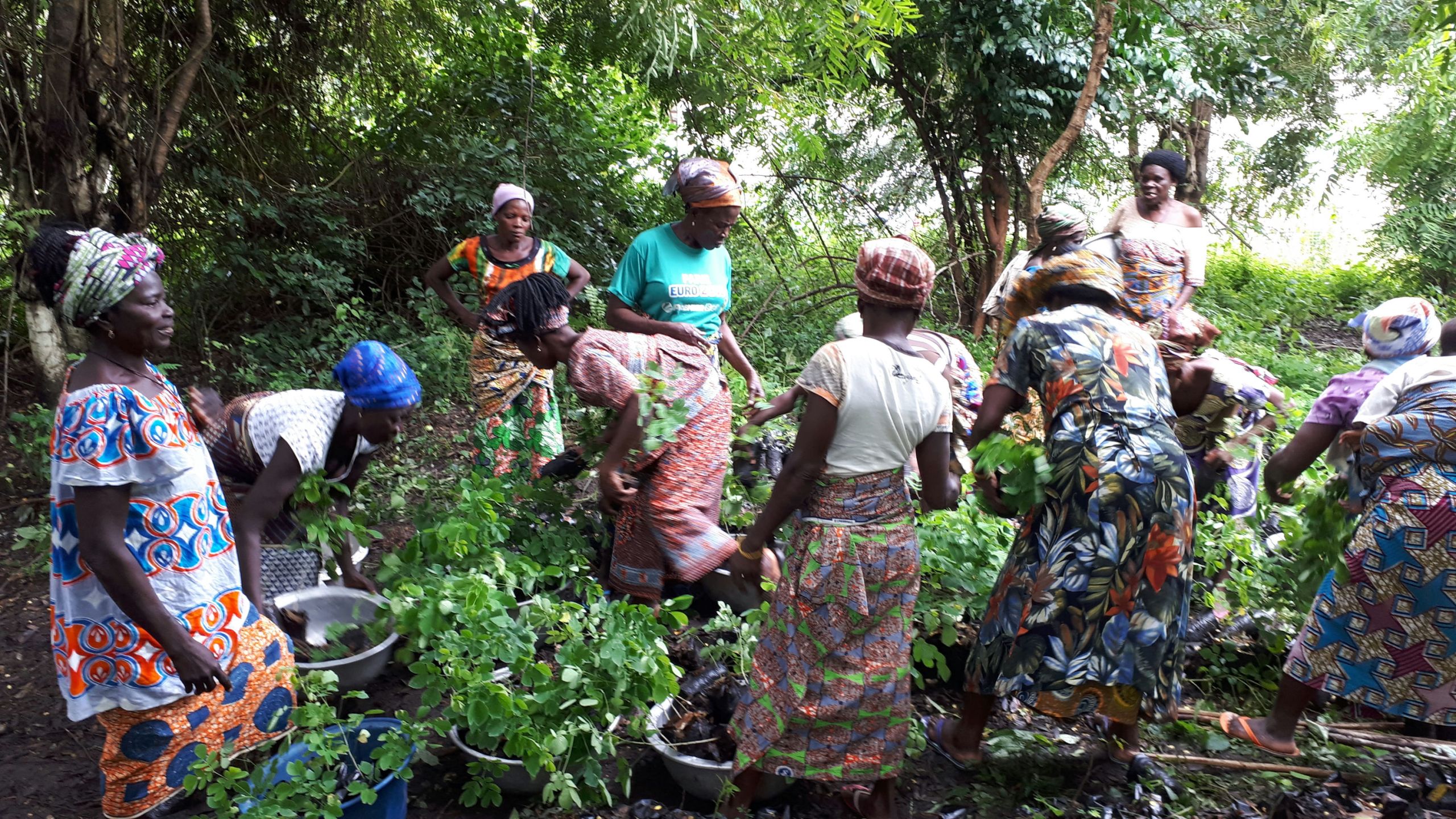 Women leading climate action